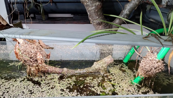 Constat sur la surface du bac