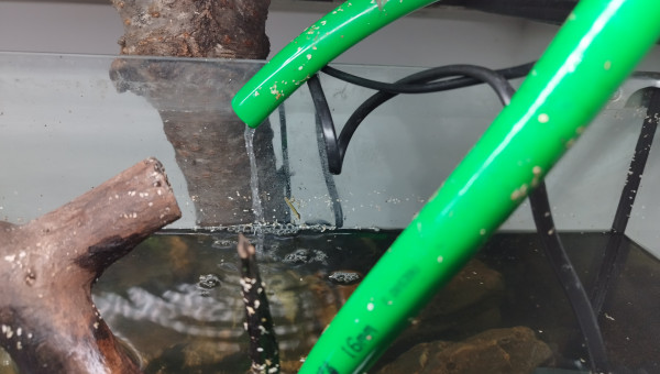 L'écoulement de l'eau du mur végétal vers le bac