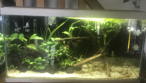 La fin de la catastrophe