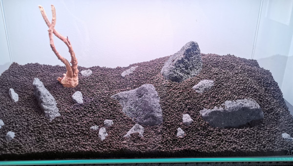 Hardscape prévisionnel 2