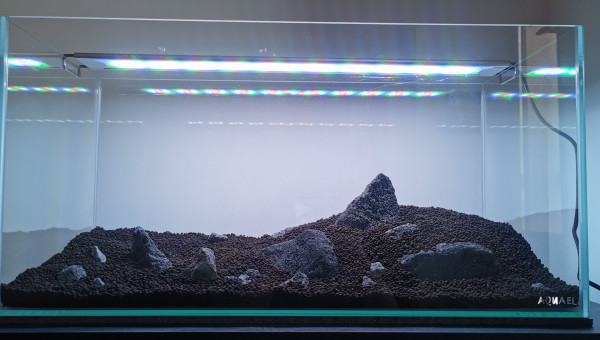 Hardscape prévisionnel