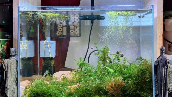 Plein d'eau depuis une semaine