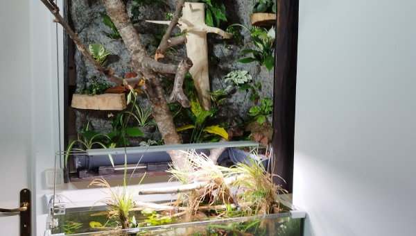 1ère vue d'ensemble du projet