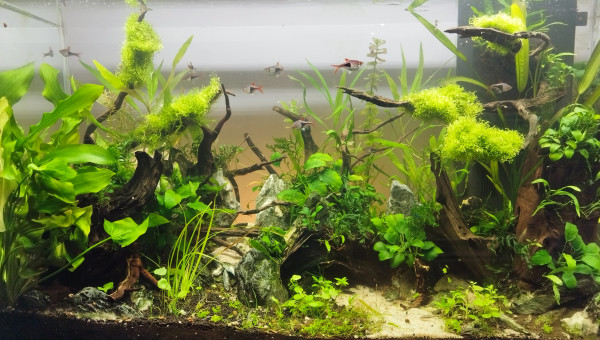 Couché de soleil sur Rift Valley