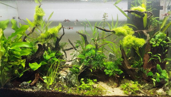 Relooking fond Blanc