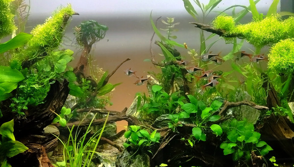 Point de fuite refait