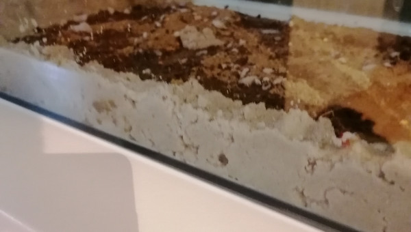 Mise en place du substrat