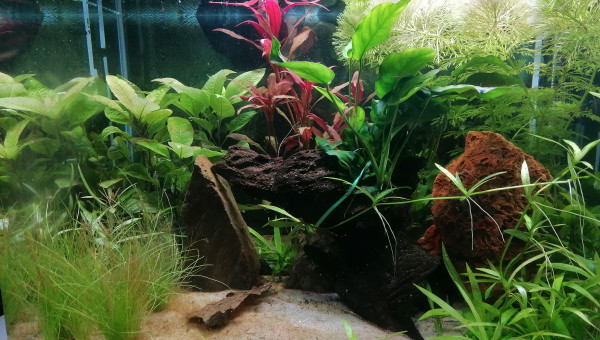 Evolution après 3 semaines