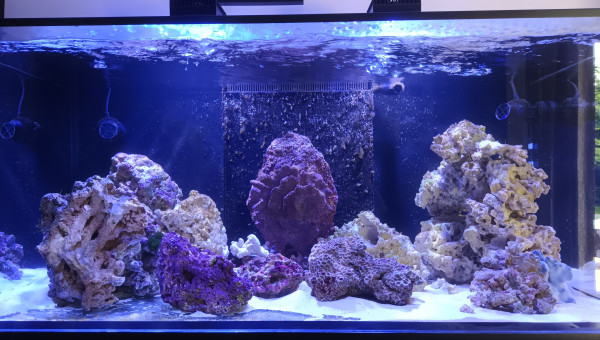 En cours de cyclage ....