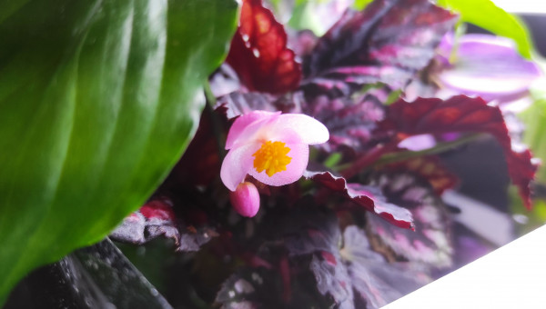 Belle évolution malgré tout