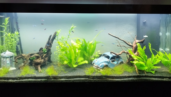 Le petit update du mois dernier !