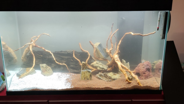 200L eau douce 23/10/2023