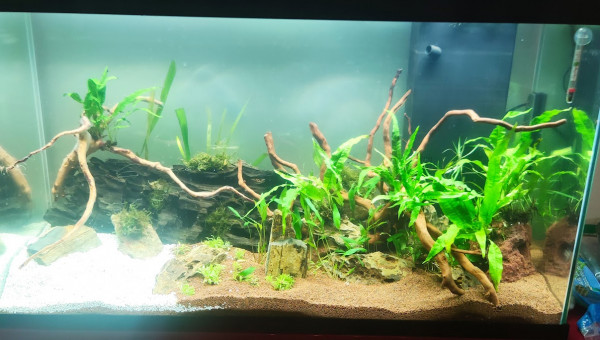 200L eau douce 26/10/2023