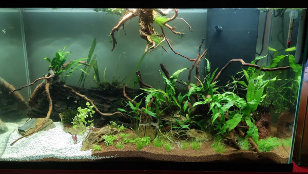 200L eau douce 01/11/2023