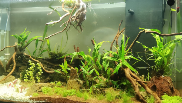 200L eau douce 05/11/2023