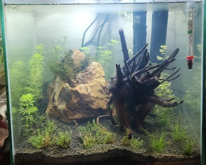 33L eau douce 5/11/2023