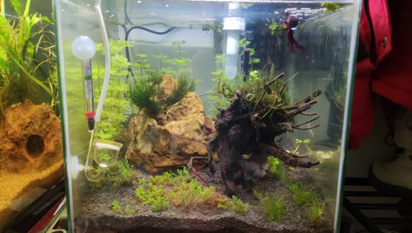 bac 33L eau douce 02/12/2023