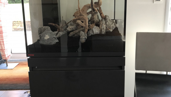 Préparation du scape