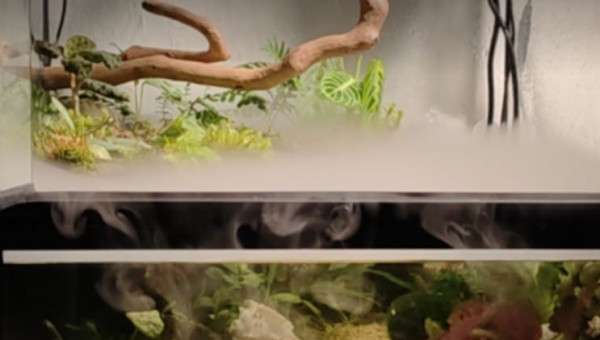 Configuration de départ