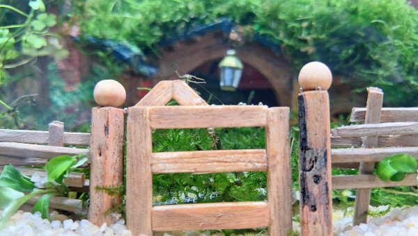 Fin de la première phase