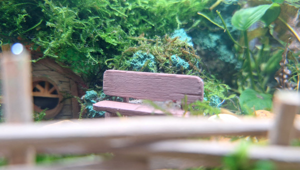 Fin de la première phase