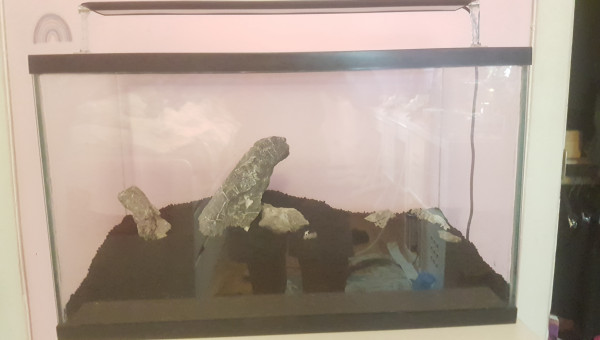 Hardscape