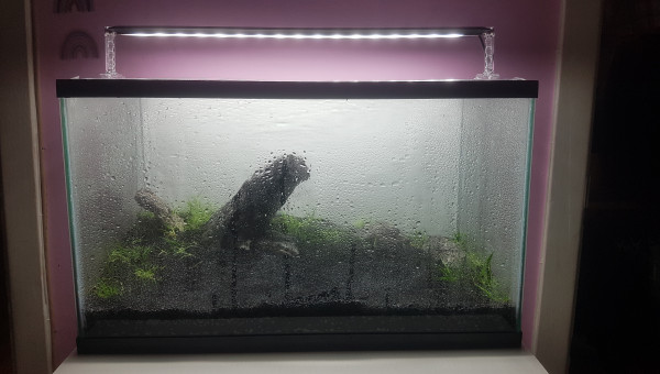 Début de la drystart