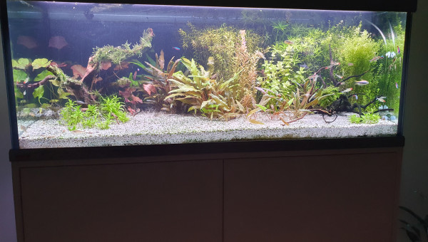 Nouvelle disposition !