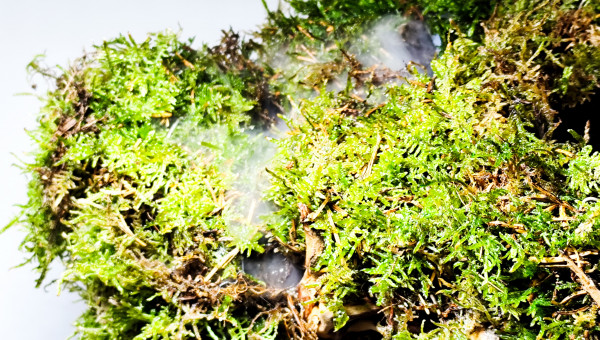 Test du brumisateur vue 2