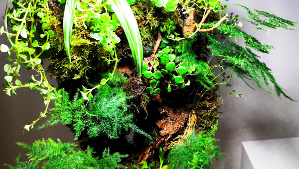 Zoom sur la végétation 4