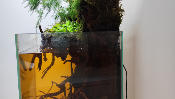 La zone aquatique, sol refait, vue de profil