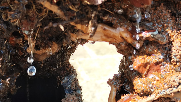 Test du flux de l'eau