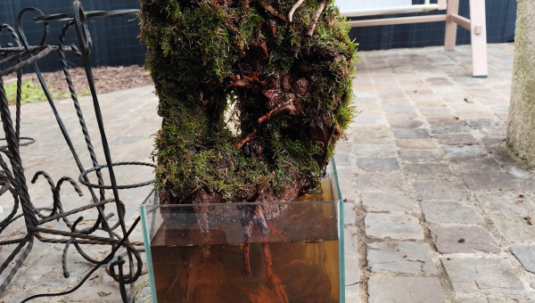 Pose de la mousse vue de face