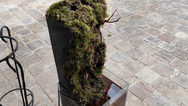 Début de la végétalisation avec la pose de la mousse