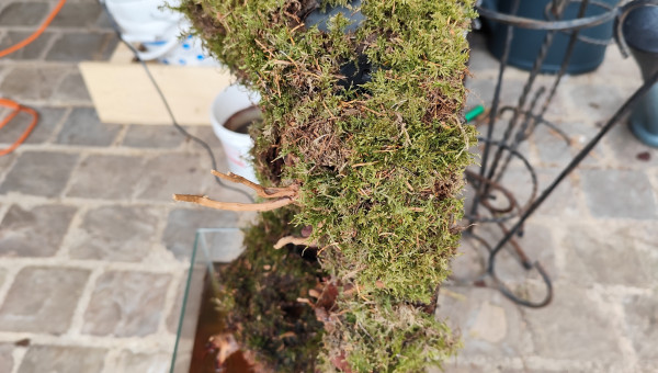 Pose de la mousse vue de côté