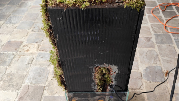 Pose de la mousse vue de dos