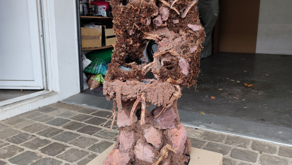 Vue d'ensemble après le sablage de manado de la zone aquatique ainsi que le palu et son substrat.