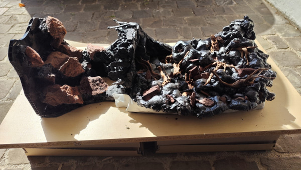 Vue d'ensemble de la mousse, il reste la partie paludarium à sculpter.