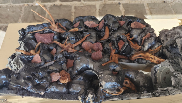 Pose de la mousse sur la partie paludarium , état brut