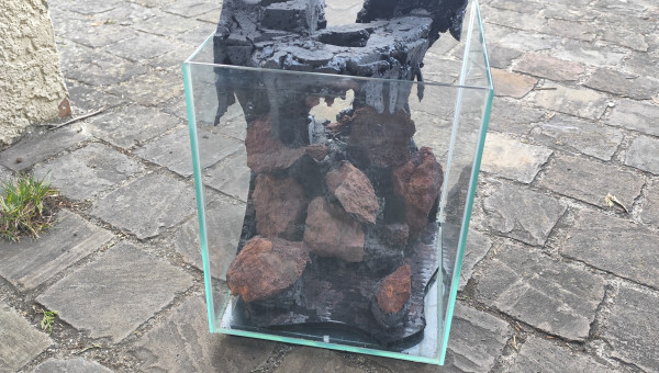 Le rendu dans le bac