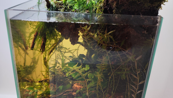 La bac éclairé par le soleil