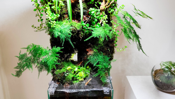 Rendu du rétro éclairage sur le palu