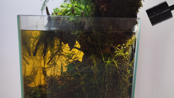 Autre vue avec le spot de rétro éclairage