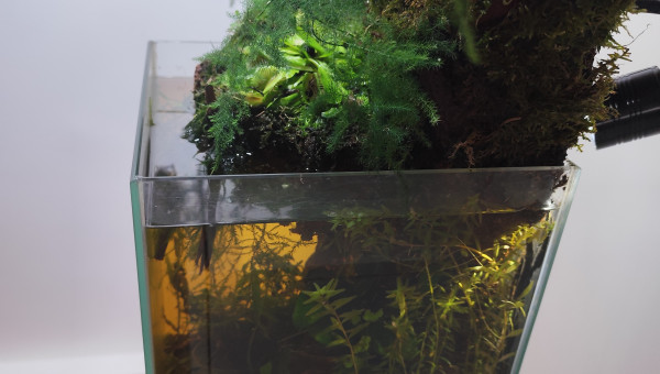 Vue de profil avec le spot