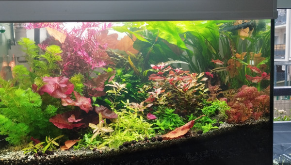 Un mois après le retour des vacances