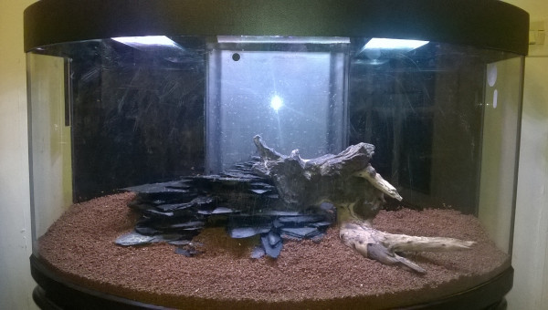 Substrat, racine et ardoises