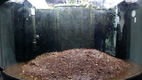 Réno 2 - création d'un îlot central