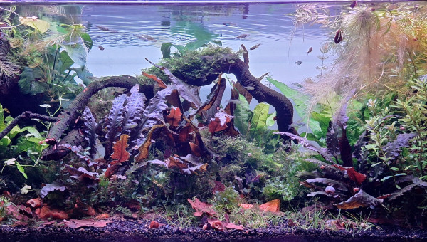 Propriété de l'abonné