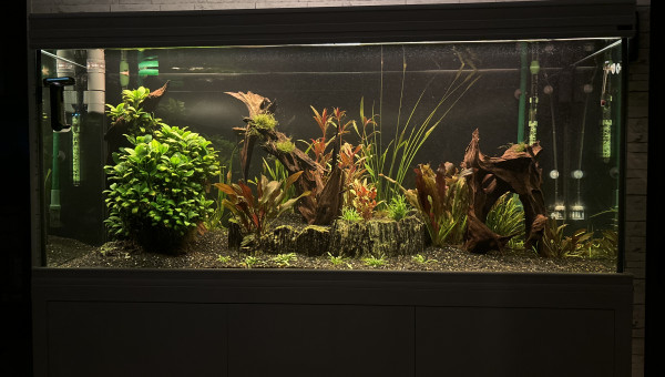 Suite du coucher de soleil