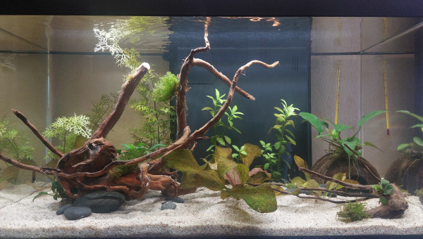 Photo avant le départ en vacances